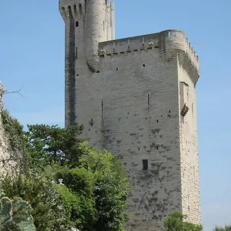 La Cigale - Vieux Village - Charmante Maisonnette Climatisee Avec Jardin Villeneuve-les-Avignon Exterior photo