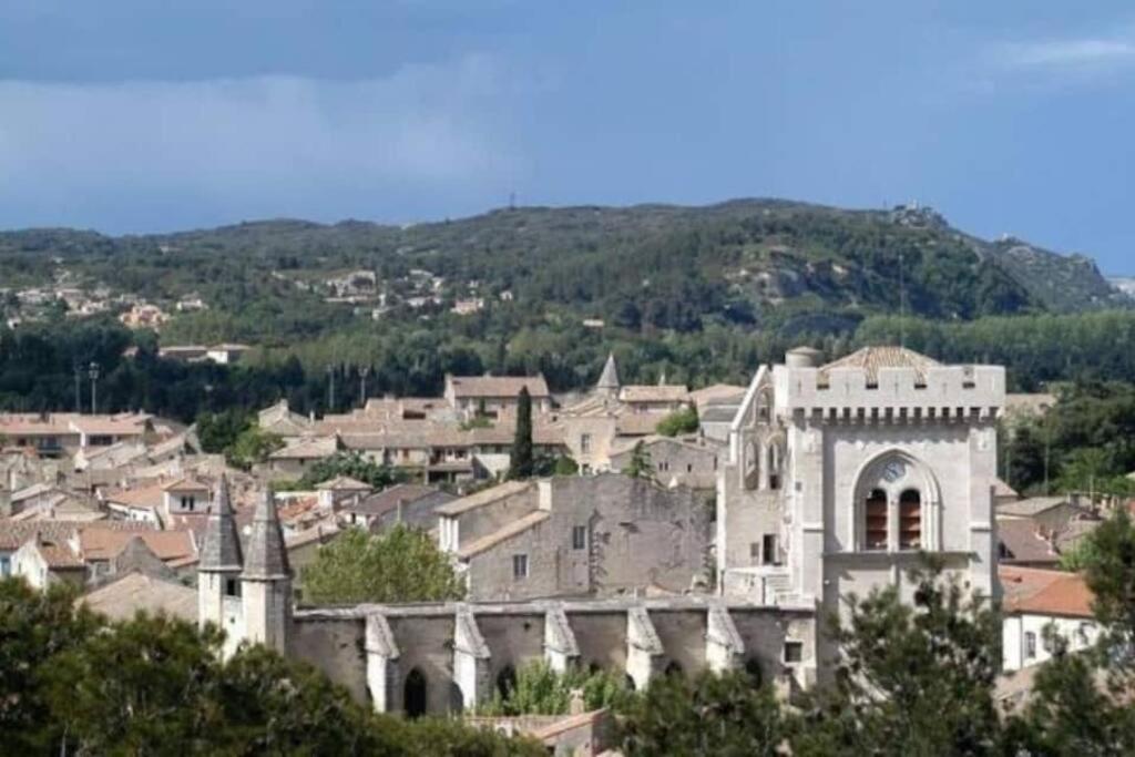 La Cigale - Vieux Village - Charmante Maisonnette Climatisee Avec Jardin * Villeneuve-les-Avignon